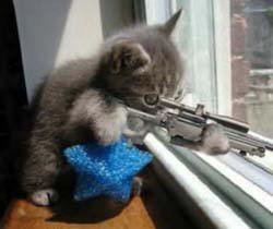 snipercat Counter Strike crosshair setup